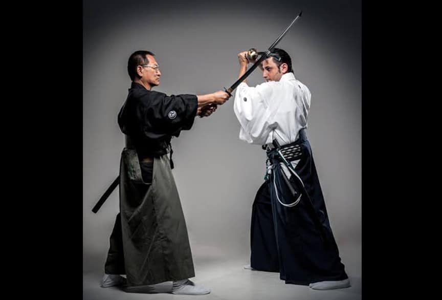 Japon Kılıç Sanatı